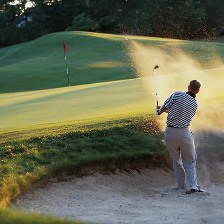 Crowne Plaza Towers By Ihg 4*